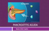 Presentacion pancreatitis actualizado Atlanta 2012