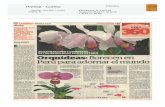 Diario Correo: Orquídeas peruanas adornan el mundo