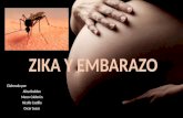 Zika y embarazo