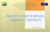 Insuficiencia renal aguda y crónica
