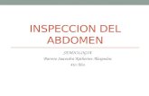 Inspeccion del abdomen