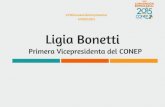 Ppt Resultados Encuentros Regionales, Ligia Bonetti