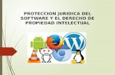 Proteccion juridica del software.
