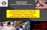 Función de un Plan de Negocios para la micro, pequeña y mediana Empresa en Venezuela