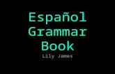 Español Grammar Book