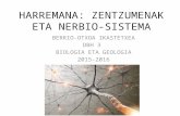 Harremana (zentzumenak eta nervio sistema)
