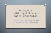 Búsqueda bibliografica en bases españolas