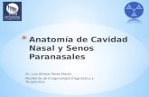 Anatomía de cavidad nasal Introducción