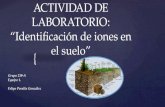 Actividad de-laboratorio iones suelo