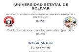 Universidad estatal de bolivar