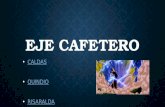 Eje cafetero power point