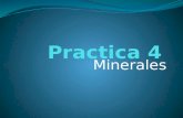 Practica 4-minerales