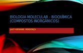 Biologia molecular   bioquímica (compostos inorgânicos)