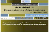 Activity 2 4 algebraic expressions