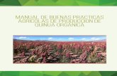 Manual producción Quinua Orgánica Ecologica