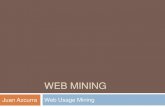 Web Usage Mining - Temas Avanzados