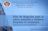 Plan de negocios para las MIPyMEs en Venezuela