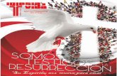 Revista Iglesia y Vida Salvatorianos Venezuela - Iglesia Católica - Abril 2016