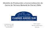 Experiencia Chile: Organización de pequeños productores pecuarios y acceso a mercados: Experiencia de Carnes Andes Sur (CAS)