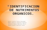 Identificacion de nutrimentos organicos