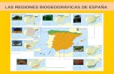 Regiones biogeográficas