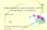 Esquema de vacunacion en Mexico, tamiz ampliado y auditivo en pediatria