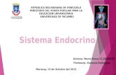 Presentación del sistema endocrino