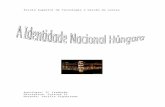 A Identidade Nacional Húngara (2005)