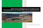 Sobre las obligaciones ambientales fiscalizables y el desarrollo de la fiscalización