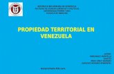 Propiedad territorial en venezuela   copia