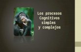 Los procesos cognitivos