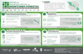 Infografía del Centro de Excelencia Virtual en Monitoreo Forestal en Mesoamérica