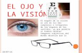 El ojo y la vision