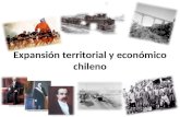 Expansion territorial y economica de chile siglo xix