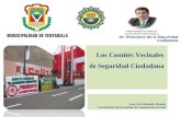 LOS COMITÉS VECINALES DE SEGURIDAD CIUDADANA
