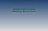 13. conversion sistemas numericos