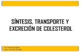 SINTESIS TRANSPORTE Y EXCRECIÓN DE COLESTEROL