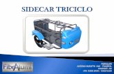 Sidecar triciclo, Sidecar Transporte