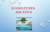 Ecosistemes aquatics