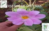 Diseños de sistemas agricolas ii