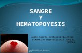 Celulas sanguineas   hematopoyesis - eritrocitos, anemia y policitemia - copia