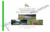 ESTUDIO DE SERVICIOS ECOSISTEMICOS