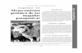 Mejoramiento genético de las majadas patagónicas