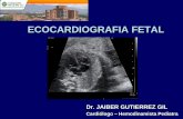 Ecocardiografía fetal, una necesidad sentida