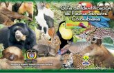 Guía de Identificación de Fauna Silvestre Colombiana