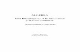 ÁLGEBRA Una Introducción a la Aritmética y la Combinatoria