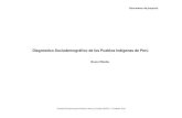 Diagnóstico Sociodemográfico de los Pueblos Indígenas de Perú