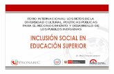 Inclusión social en educación superior