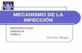 mecanismo de la infección microbiología unidad iii tema 5