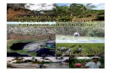 Diagnóstico sectorial Quintana Roo 2010
